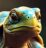 Turtle Rise